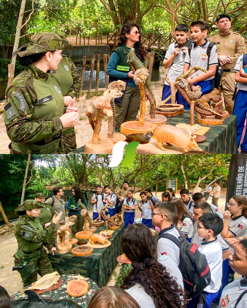 WhatsApp Image 2025-04-15 at 15.36.58.jpeg