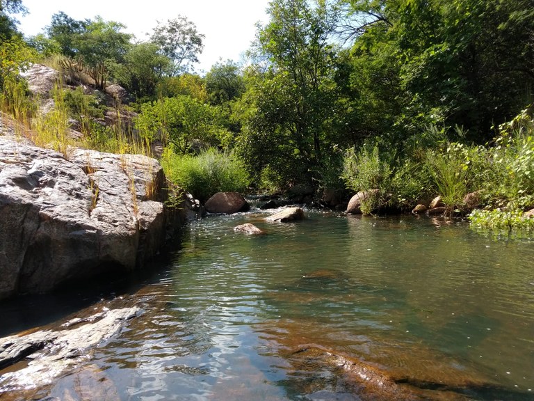 WhatsApp Image 2020-04-17 at 09.22.36.jpeg