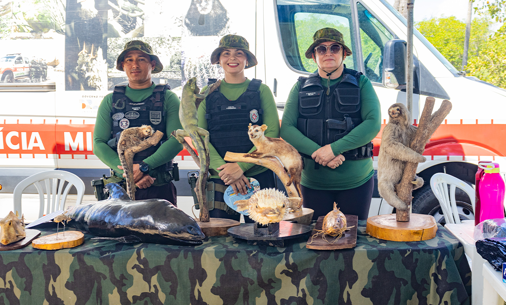 SITE CAPA copiar 9.png