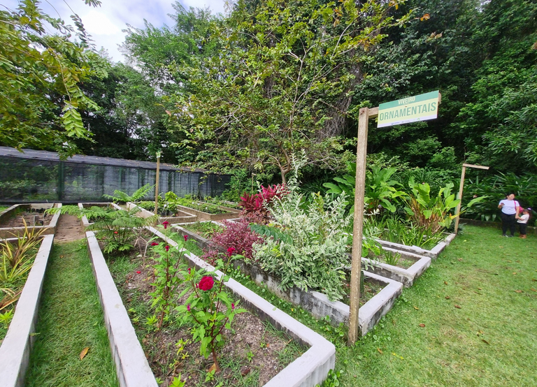 imagem_2026-10-13_135530797.png