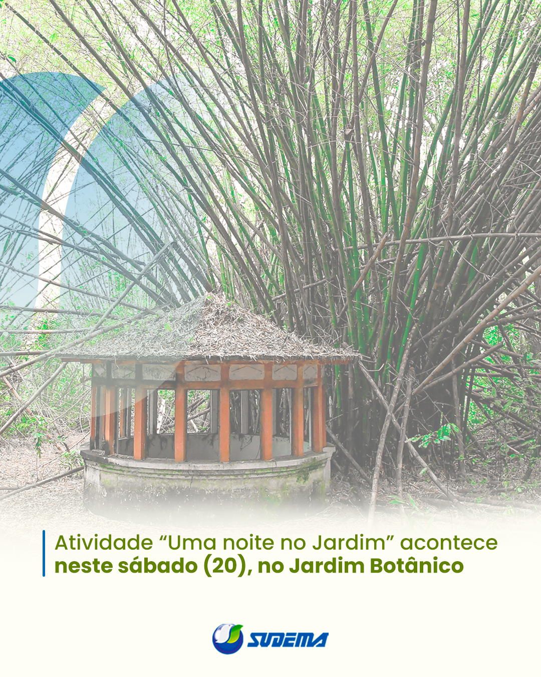 Atividade-“Uma-noite-no-Jardim”-acontece.png