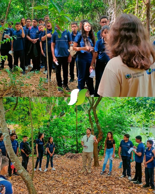 WhatsApp Image 2025-04-24 at 16.19.41.jpeg