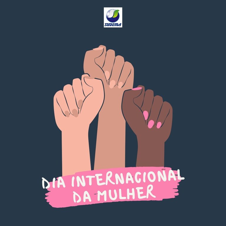 Post Rosa e Azul de Dia Internacional da Mulher para Redes Sociais.jpg