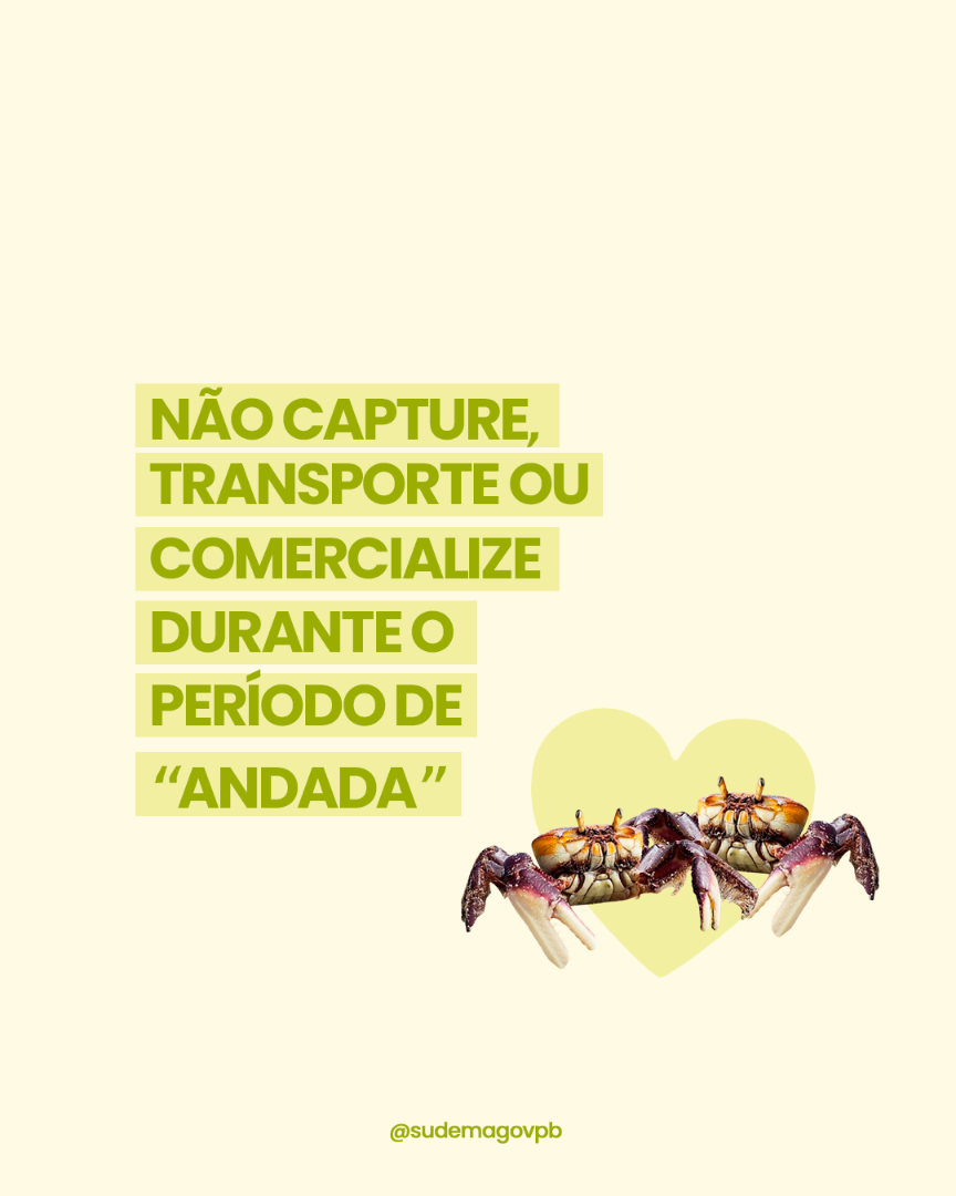 pariodo_do_defeso_do_caranguejo_03.png