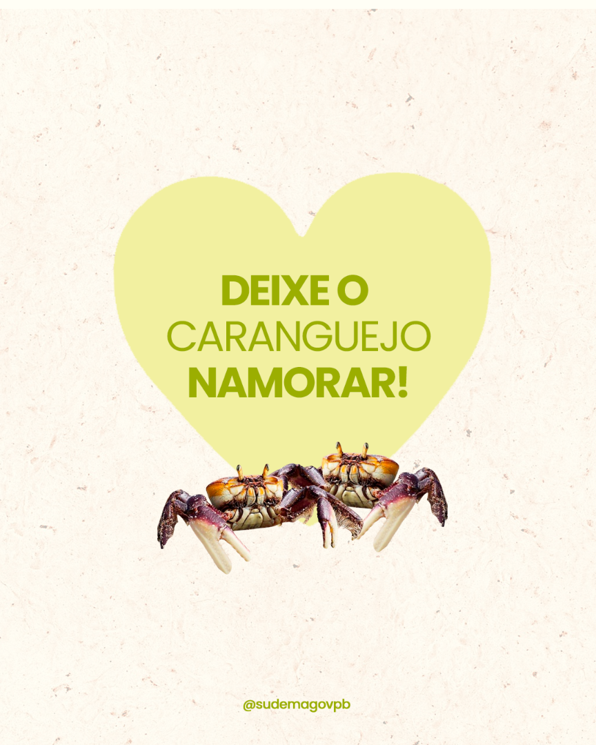 pariodo_do_defeso_do_caranguejo_04.png