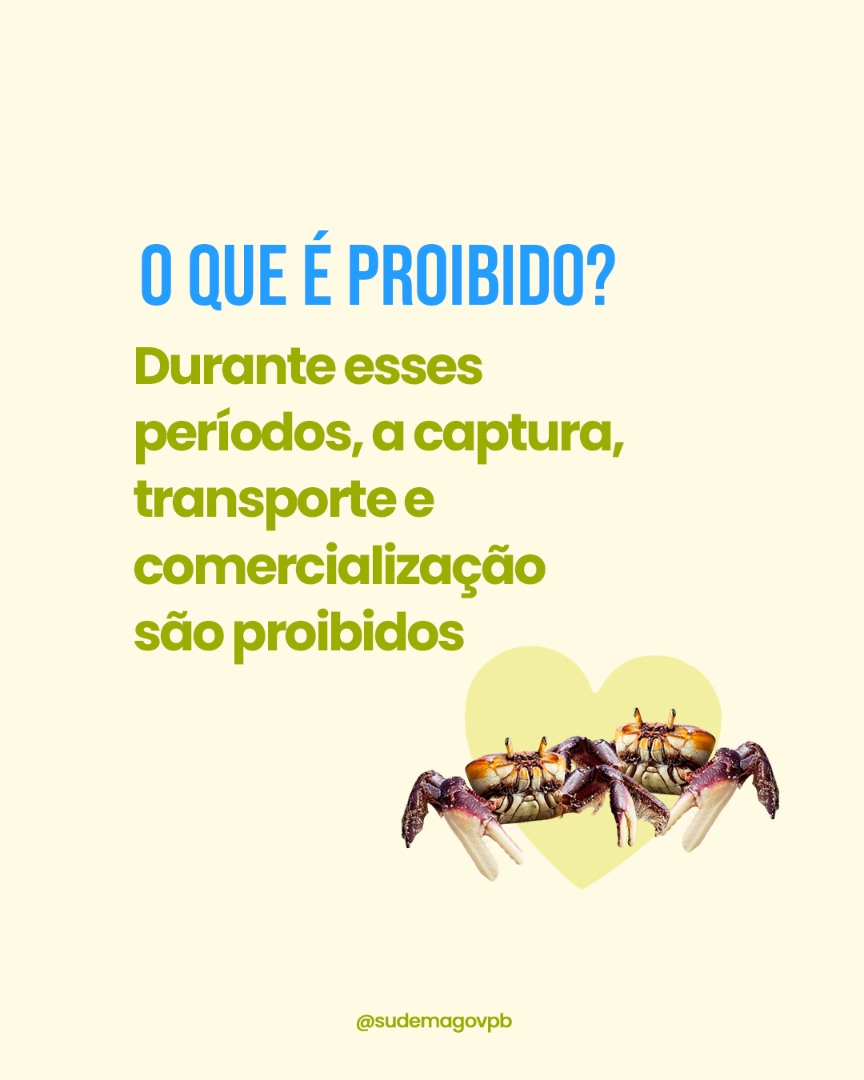 pariodo_do_defeso_do_caranguejo_05.png