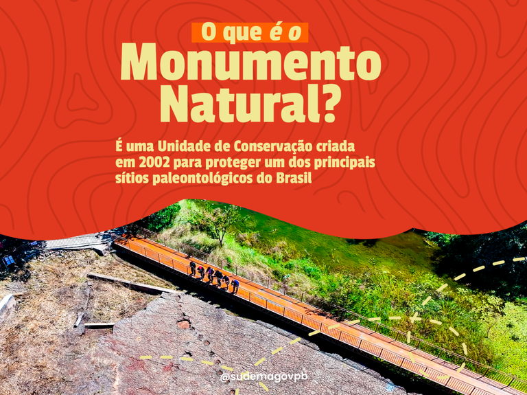 capa 2.png