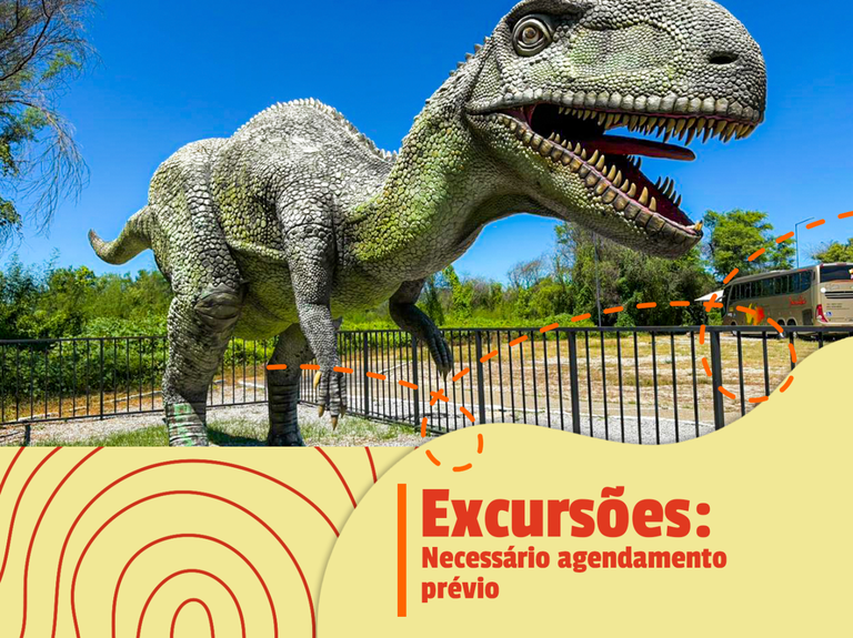 capa 8.png