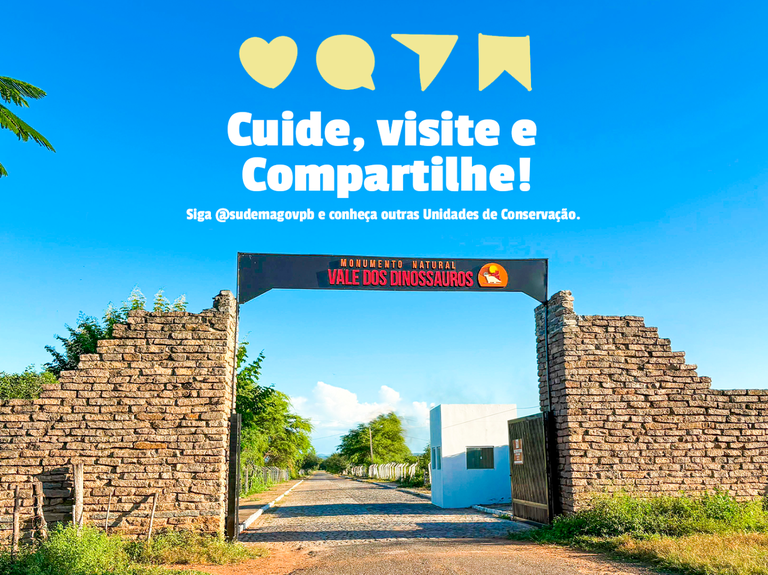 capa 9.png