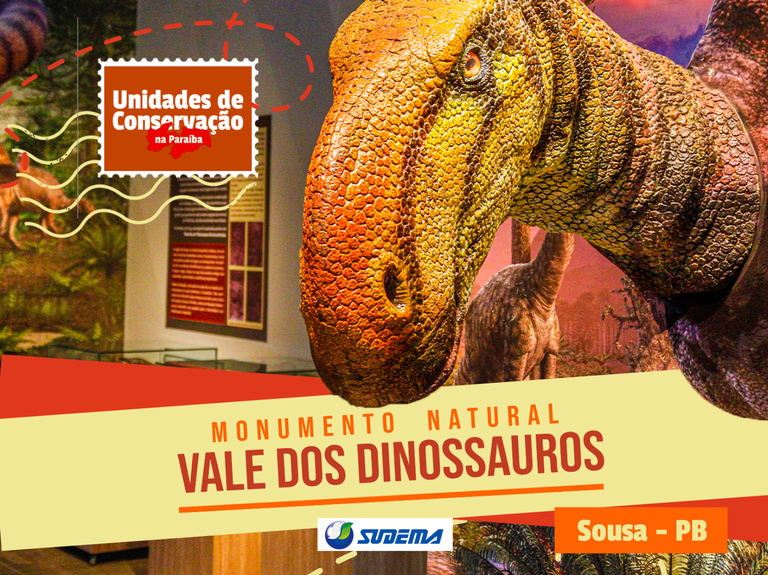 SITE CAPA.png