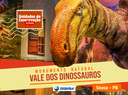SITE CAPA.png