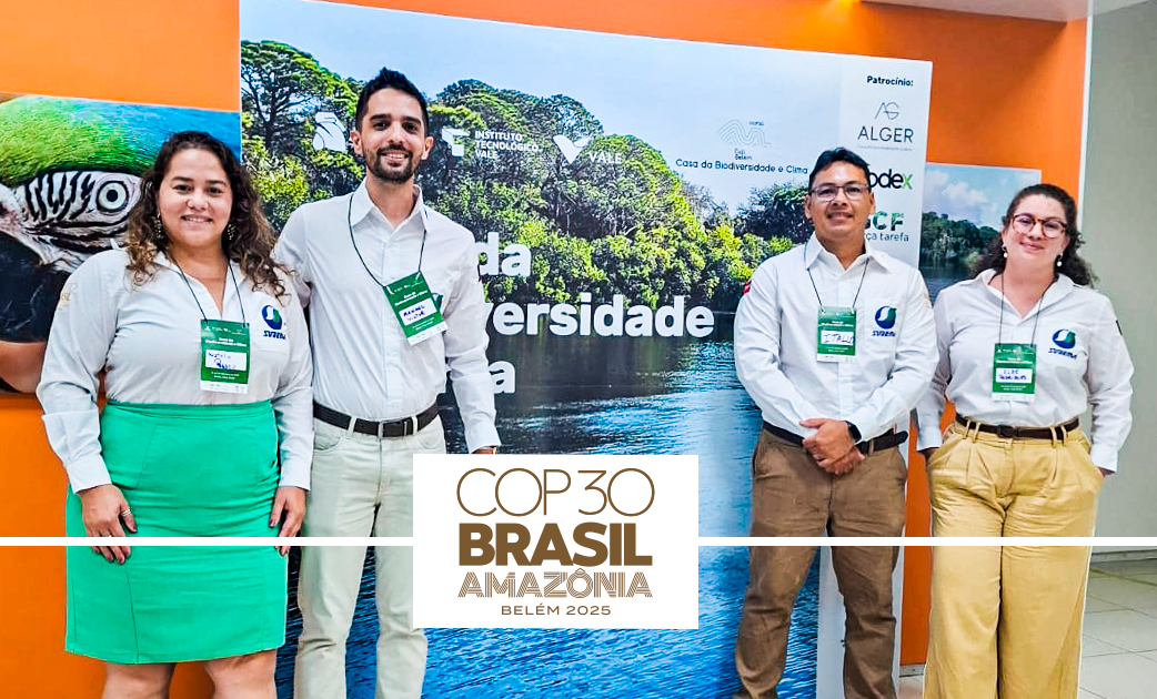 SITE 1 COP Instituto Tecnológico Vale.png