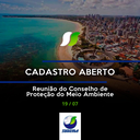 Reunião virtual da Copam