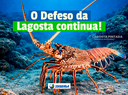 imagem_2026-03-31_155707185.png