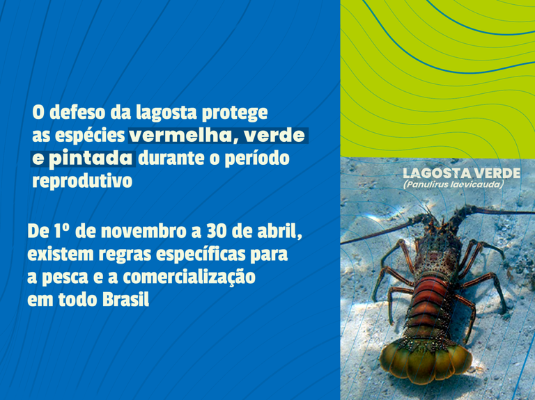 imagem_2026-03-31_155715415.png