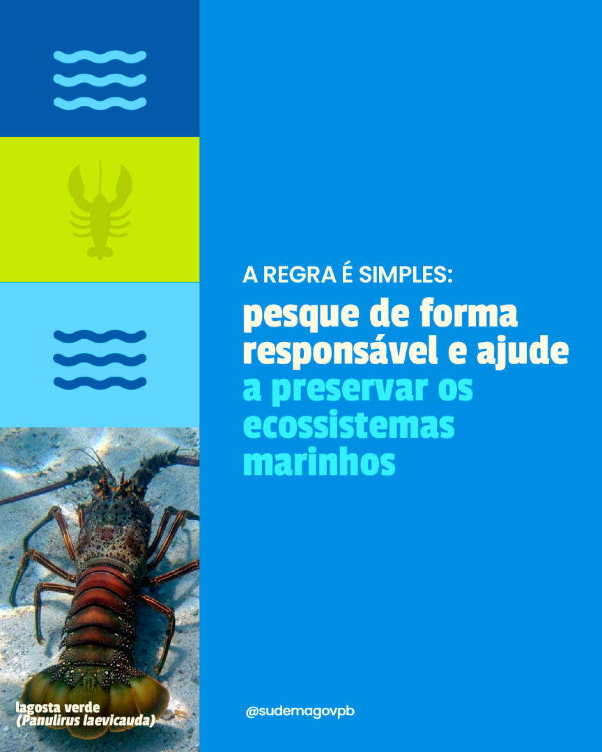 pariodo_do_defeso_da_lagosta_06.png