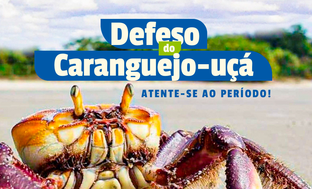 DEFESO DO CARANGUEJO SITE.jpg