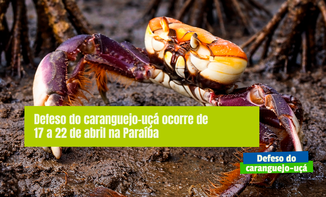 imagem_2026-04-02_145001977.png