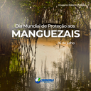 Dia Mundial de Proteção aos Manguezais é comemorado nesta quarta-feira (26)