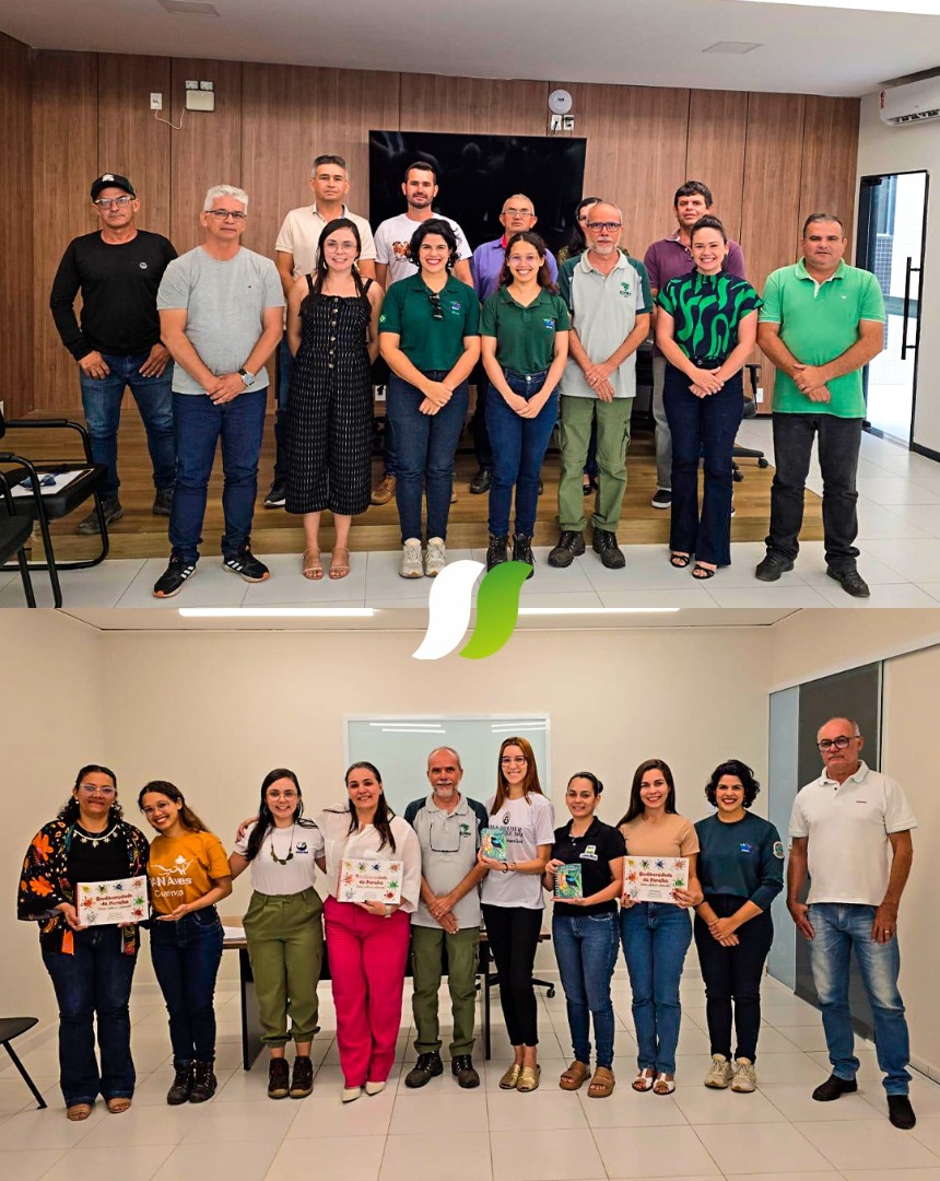 WhatsApp Image 2025-07-17 at 15.55.13.jpeg