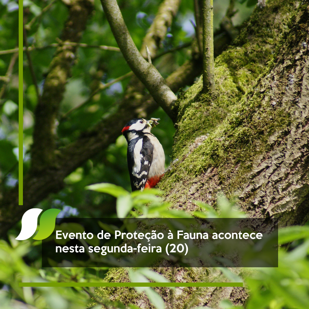 Evento de Proteção à Fauna.png