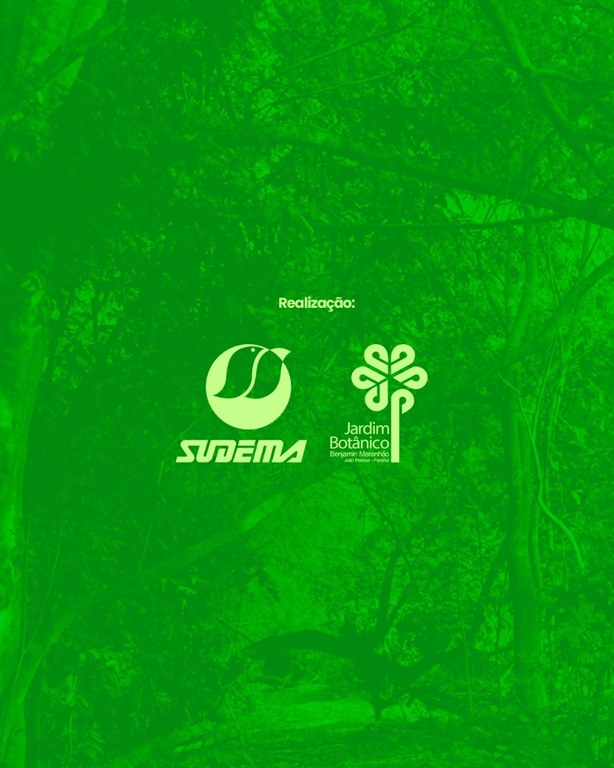 WhatsApp Image 2025-03-26 at 14.54.05.jpeg