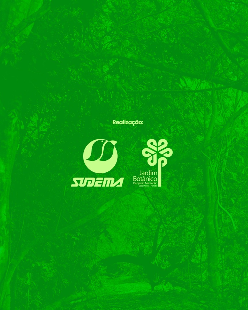 WhatsApp Image 2025-03-26 at 14.54.05.jpeg