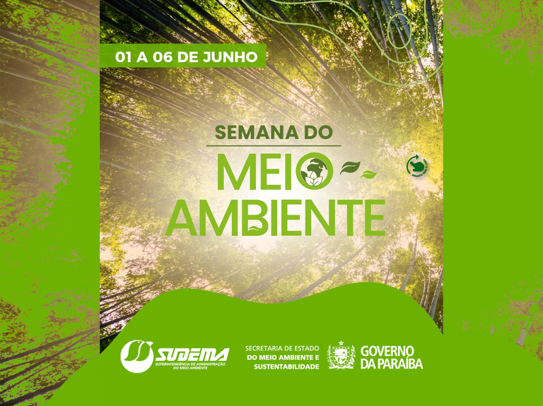 SITE CAPA.png