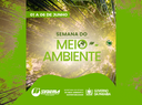 SITE CAPA.png