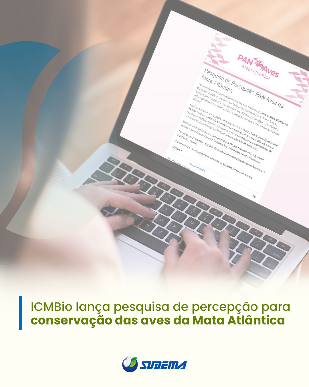 ICMBio lança pesquisa de percepção para conservação das aves da Mata Atlântica