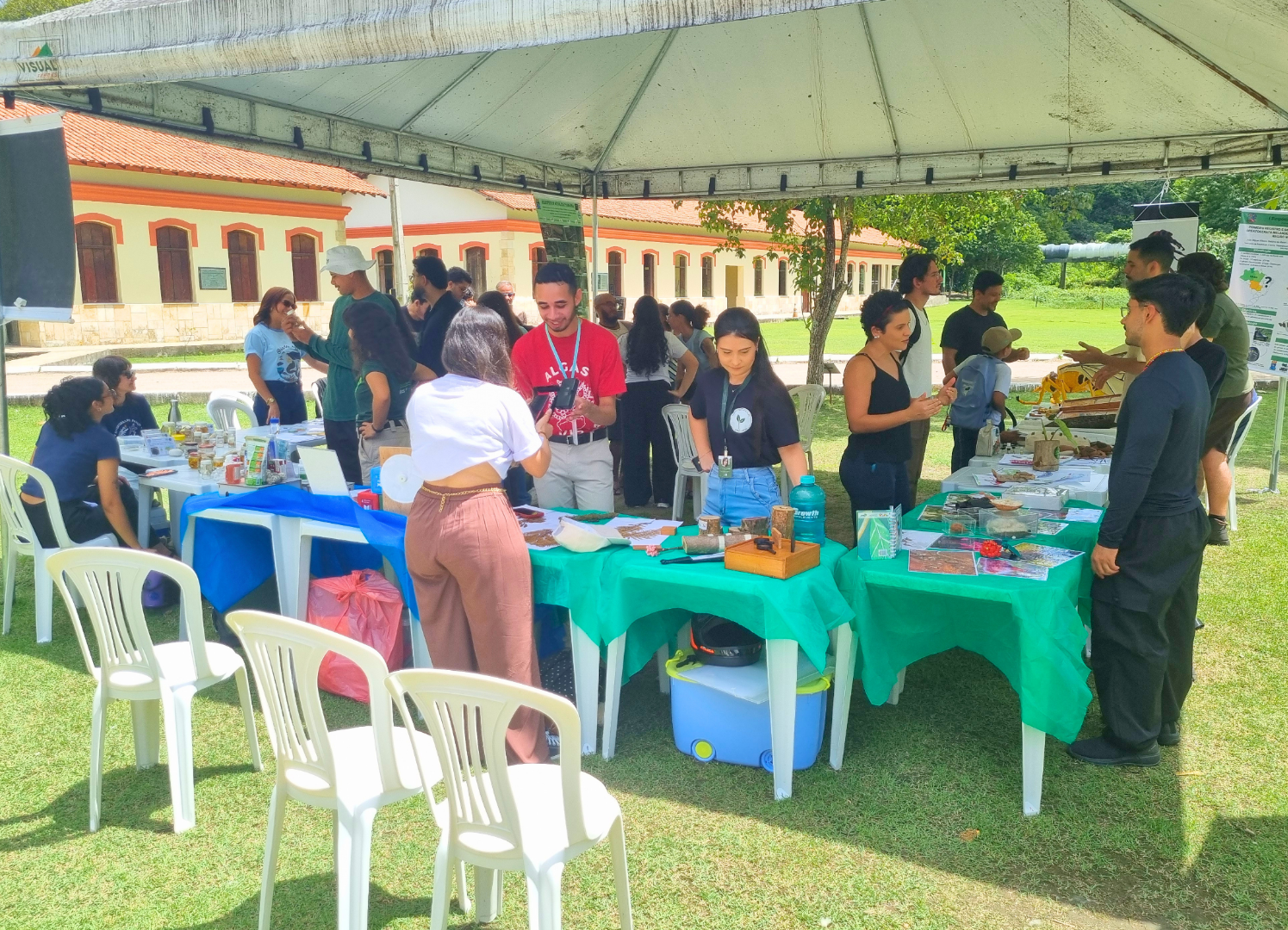 site 7 (1).png
