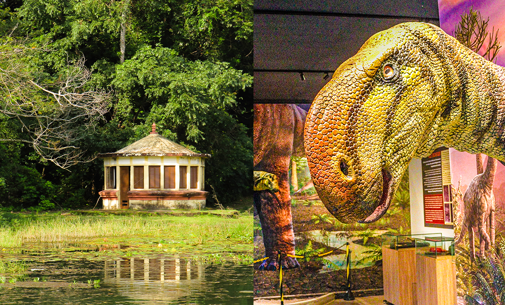 Alterações no funcionamento do Jardim Botânico e do Vale dos Dinossauros no Carnaval