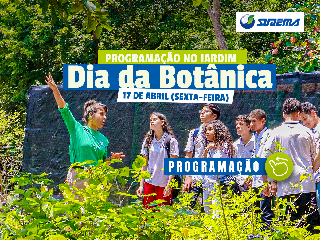 Atividades educativas e interativas aproximam o público do universo da botânica e da biodiversidade