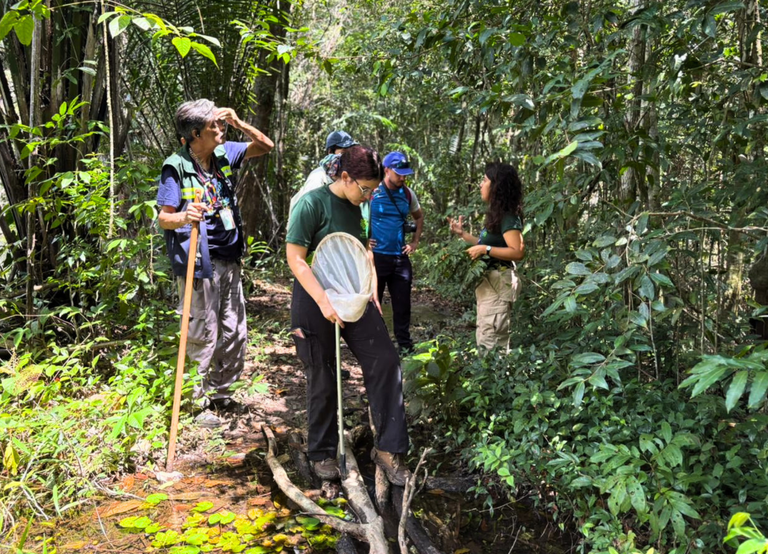 site 2 (4).png