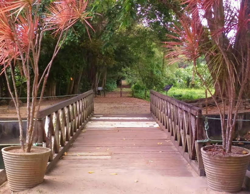 Ponte do Jardim/ Foto: Marcela Lopes