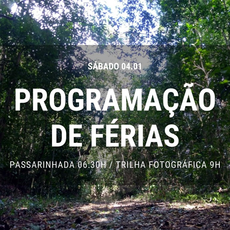 passarinhada e trilha.jpeg