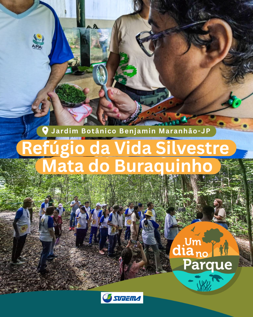 Cópia de UDNP 2025 Feed - UCS.png