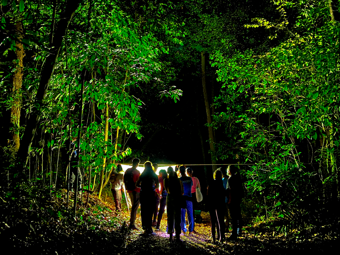 Atividade inclui visitação, trilha noturna e ações de educação ambiental voltadas à biodiversidade