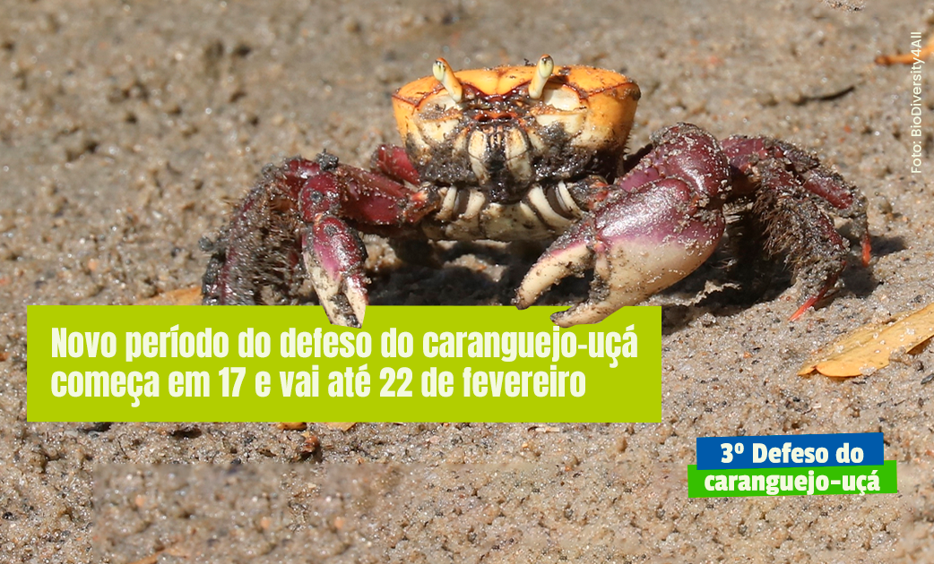 3° Defeso do caranguejo-uçá SITE.png