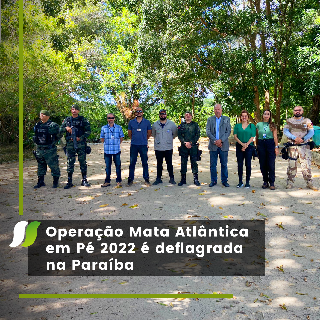 Operação Mata Atlântica em Pé 2022 é deflagrada na Paraíba