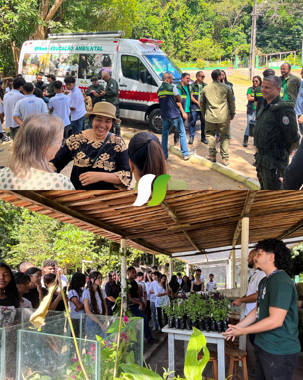 FOTO-11-Operação_Mata_Atlântica_em_Pé_2024.png