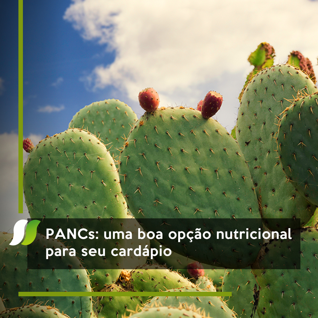 post sudema modelo 2.jpg