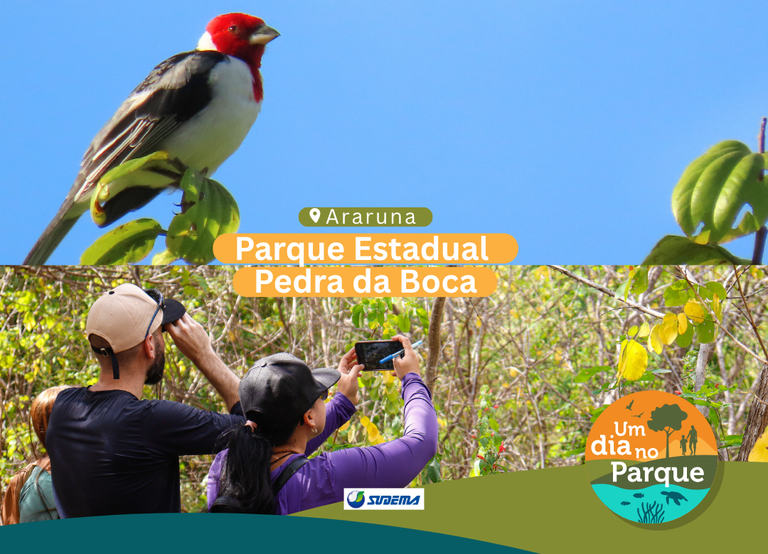 WhatsApp Image 2025-07-21 at 16.31.43.jpeg