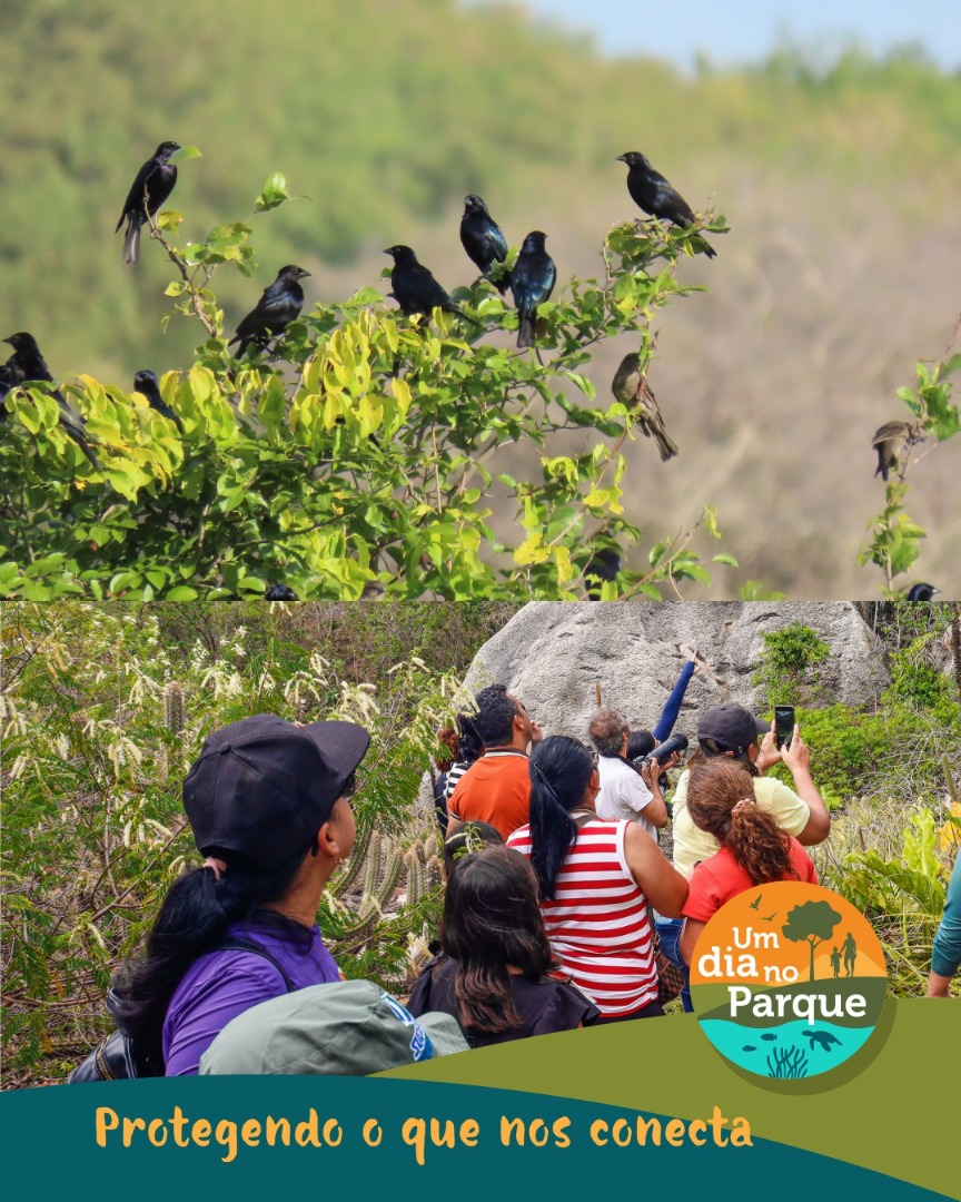 WhatsApp Image 2025-07-21 at 16.32.12.jpeg