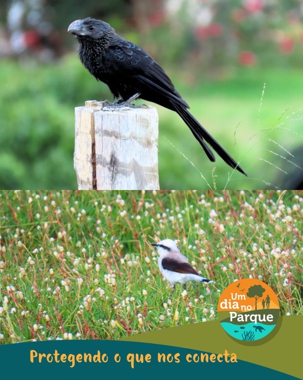 WhatsApp Image 2025-07-21 at 16.32.25.jpeg