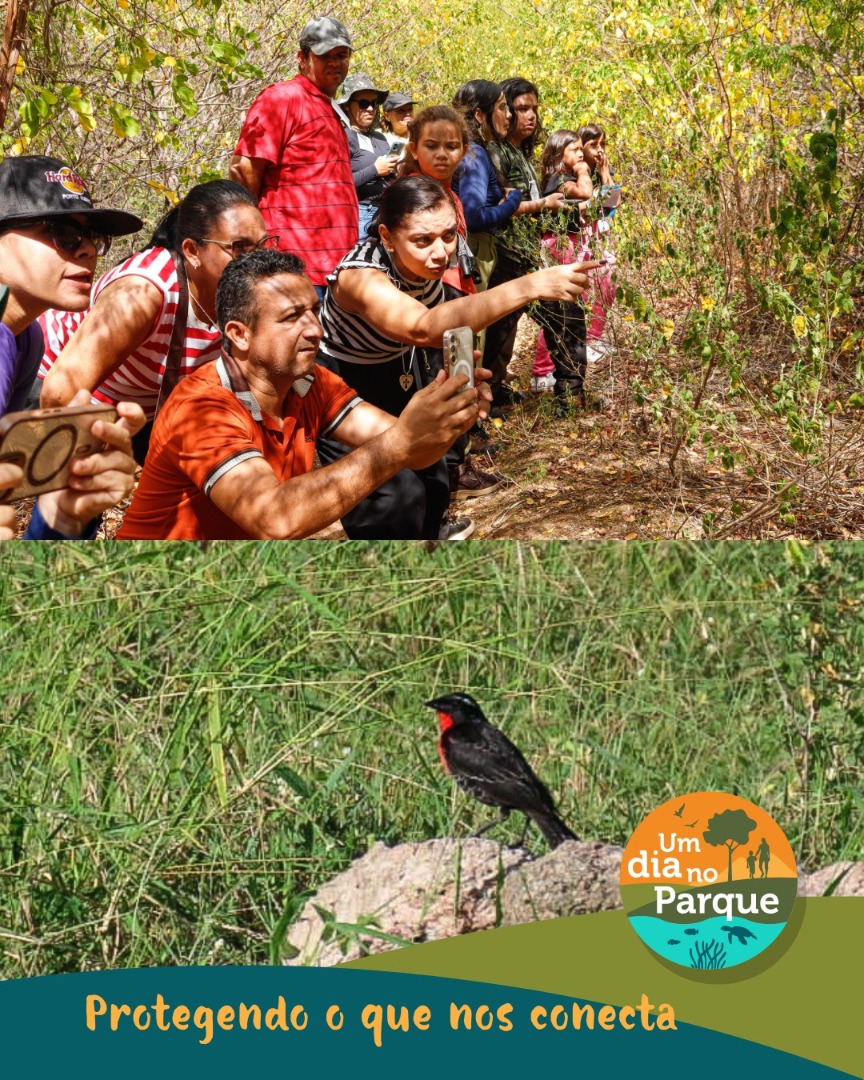 WhatsApp Image 2025-07-21 at 16.33.16.jpeg