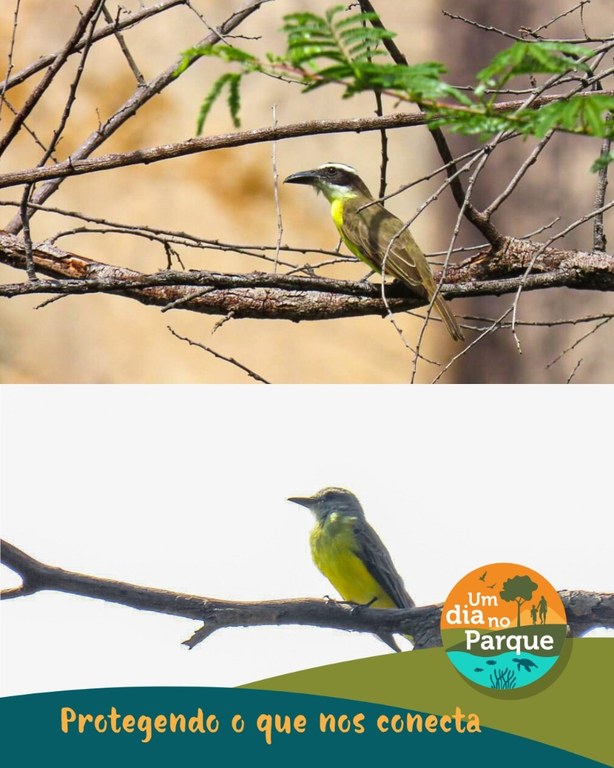 WhatsApp Image 2025-07-21 at 16.33.23.jpeg