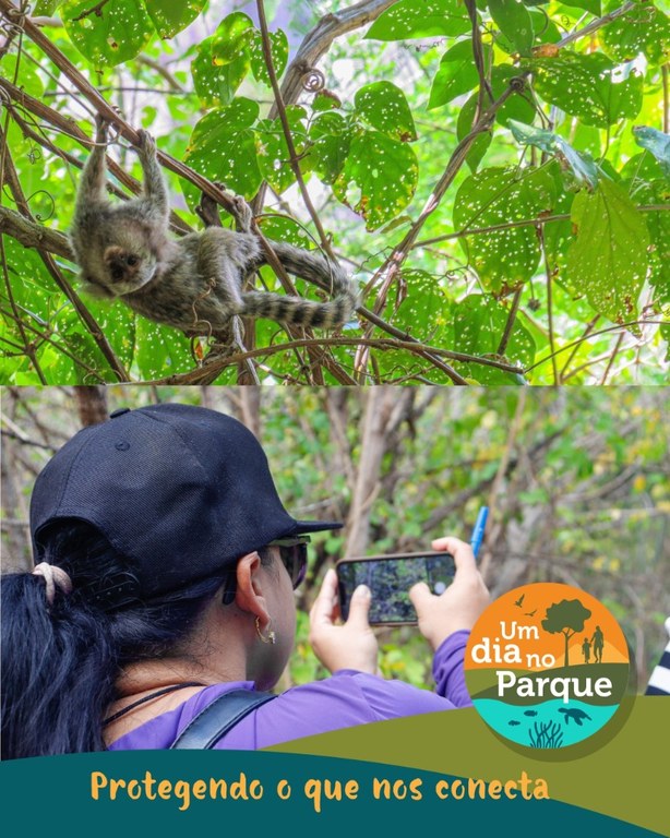 WhatsApp Image 2025-07-21 at 16.33.32.jpeg