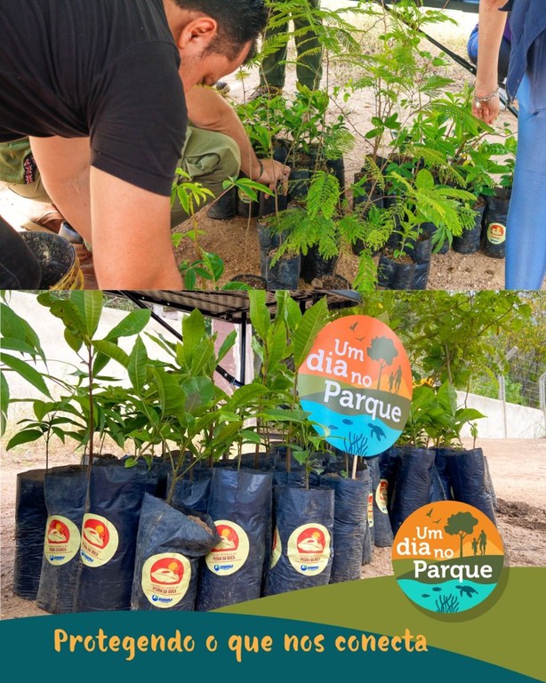 WhatsApp Image 2025-07-21 at 16.33.46.jpeg