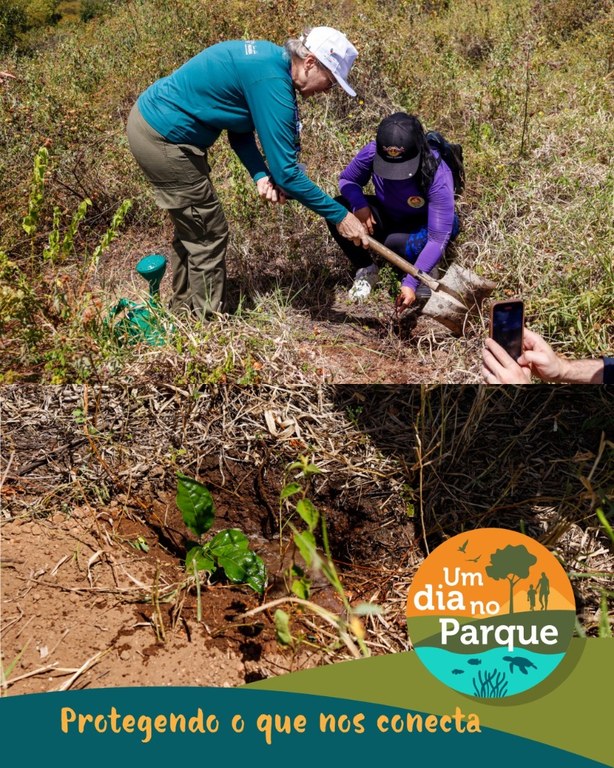 WhatsApp Image 2025-07-21 at 16.34.03.jpeg